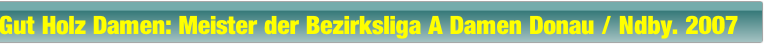 Gut Holz Damen: Meister der Bezirksliga A Damen Donau / Ndby. 2007.